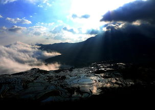 二月元陽之韻,帶你看梯田,看云海,看最美的光